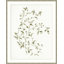 Leafy Vines 6 Print by Studio L57 Affinity