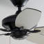 Ventilateur de plafond intérieur double en satin noir avec chaîne Pull Renew