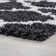 Jasmyn Indoor Rug