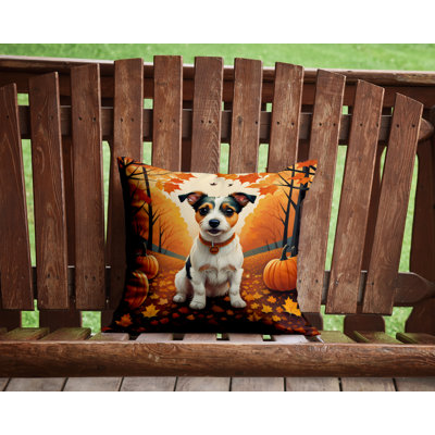Other/No Pattern Outdoor Throw Pillow