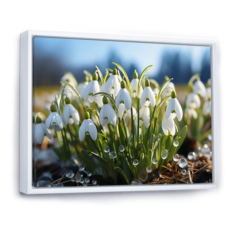 White Green Snowdrops Field III - Floral Wall Decor, H 30 po x l 40 po x P 1,5 po, Cadre flottant blanc