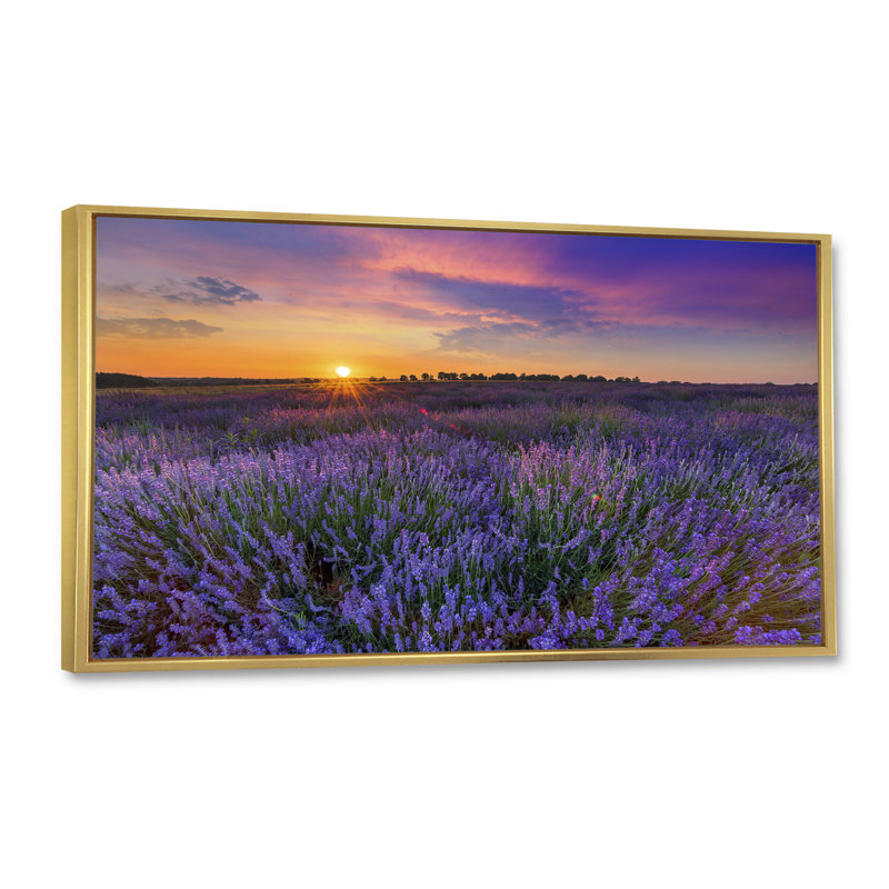 Lavender Field Sunset Landscape II - photographie sur toile, H 24 po x l 36 po x P 1 po, Cadre doré