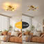 Flush Mount