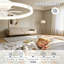 Ceiling Fan