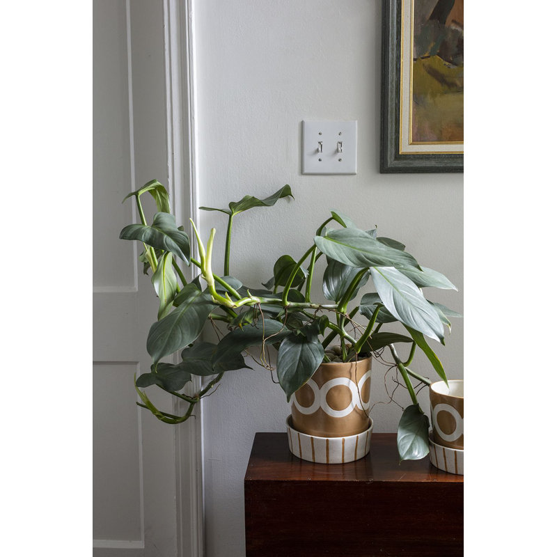 Pot à fleurs en céramique Myres, H 8 po x l 7 po x P 7 po