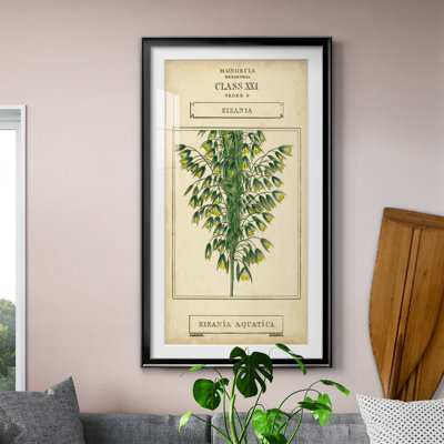 " Linnaean Botany I " Painting Print