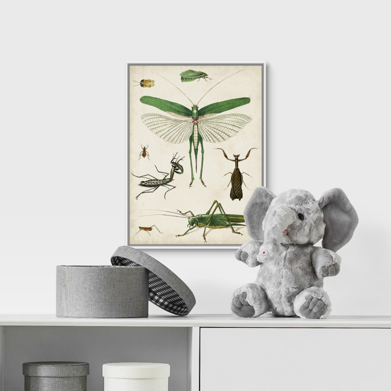 Art sur toile bugs kids, Cadre pour toile flottant blanc, H 36 po x l 12 po x P 1,2 po