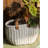 Pot Planter