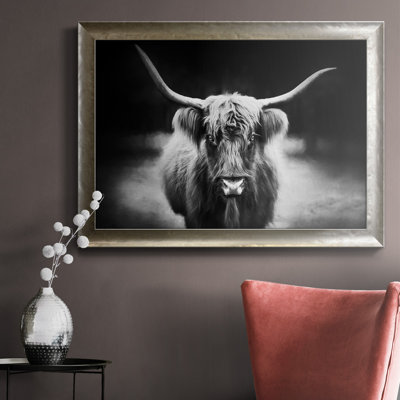 " Photography Study Highland Cattle "