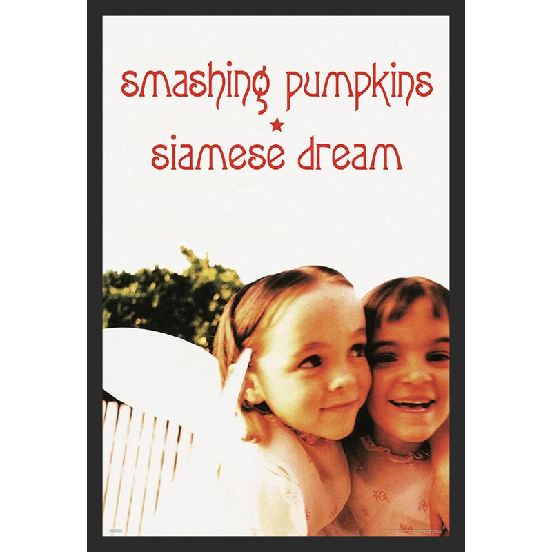 «Smashing Pumpkins - Siamese Dream» sur