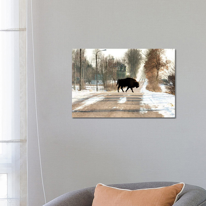 Europe, Poland, Podlaskie,European Bison IV by Mikolaj Gospodarek - Gallery-Wrapped Canvas Giclée on Canvas, Wrapped Canvas