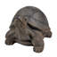 Statue turtle