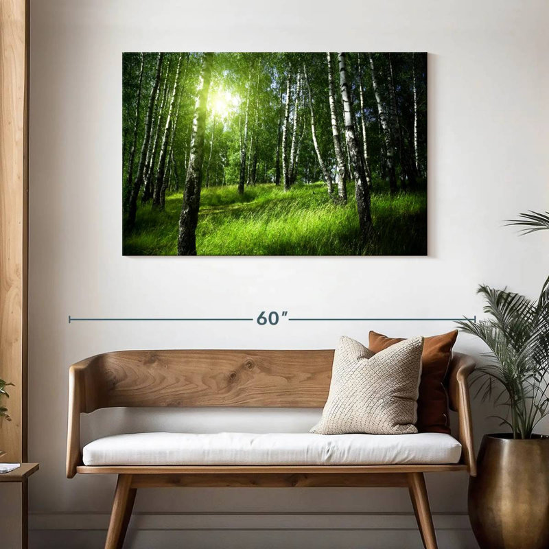 Alvord Birch Forest Sunrise View, 30" H x 45" W
