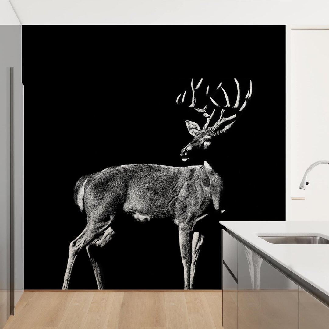 Strukturierte Fototapete Stag on Black Background 2,88 m x 288 cm