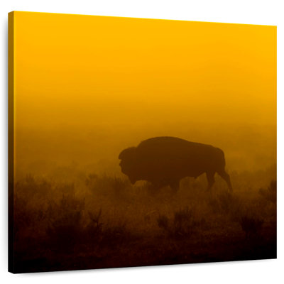 Crowle Wild Buffalo In Yellowstone National Park