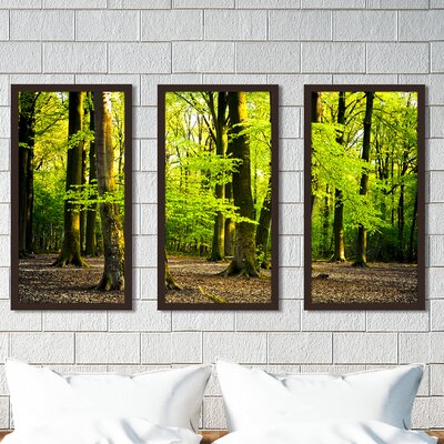 Bright Summer Forest I - 3 Piece Picture Frame Photograph Print Set on Acrylic -  Picture Perfect International, 704-2096-1224