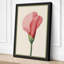 Pink Carnation Study Botanical - Wrapped Canvas-1805172490-1805172499