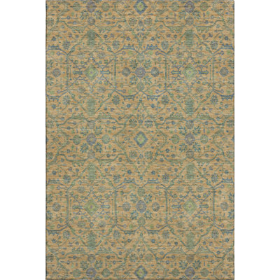 Premium Machine Washable Ducote AMF1131 Global Rug