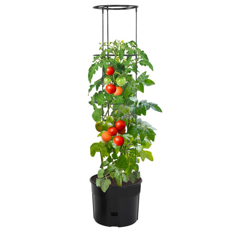 Avellana Pot Planter, 150cm H x 39cm W x 39cm D