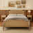 Walnut selected