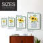 «Sunflower Perfume I», reproduction encadrée - bois massif-769720147-769720150