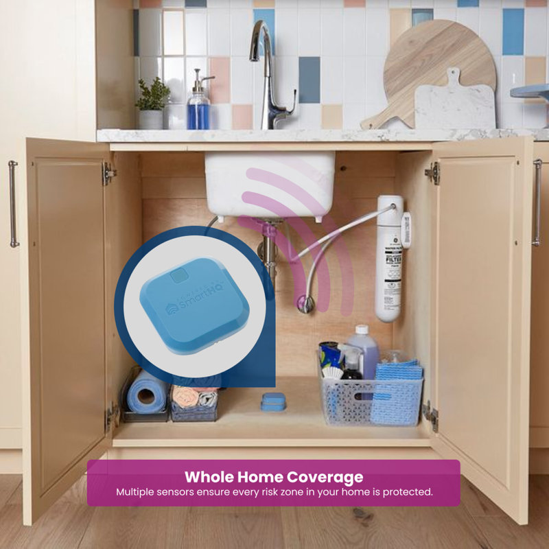 Single Gateway Single Sensor Water Leak Detect Kit