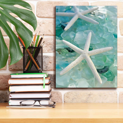 Art mural sur toile Rosecliff Heights «Seaglass 1» par Alan Blaustein