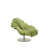 Moss Green