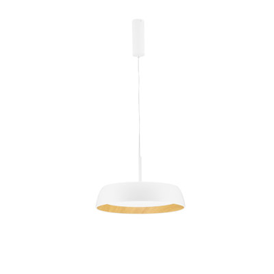 - Light Pendant
