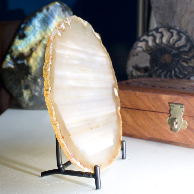Cristal Corkum