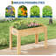 Planter-1666203703