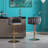 Swivel Height Adjustable Bar Stool Set of 2-1602321080