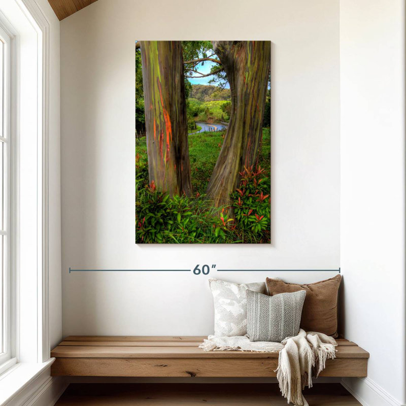 Harnek Roadside Rainbow Eucalyptus, 45" H x 30" W