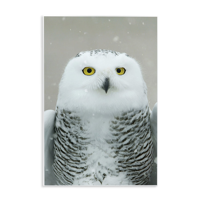 «Snowy Owl» par Carrie Ann Grippo-Pike, H 15 po x l 10 po