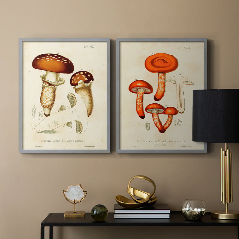 Champignon Variétés III - reproduction encadrée de qualité supérieure - prête à être accrochée - aucun clou requis - aucun clou requis