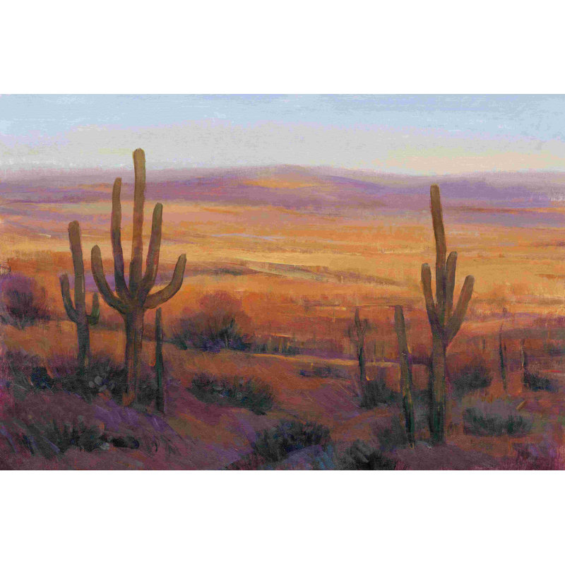" Desert Light II " by Timothy O' Toole, 20" H x 30" W  