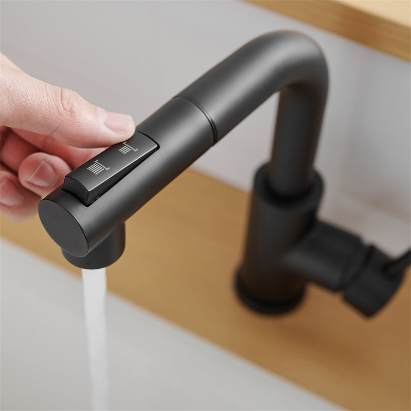Robinet de lavabo, robinets de cuisine noirs avec douchette extractible, robinet de préparation pour mini-bar