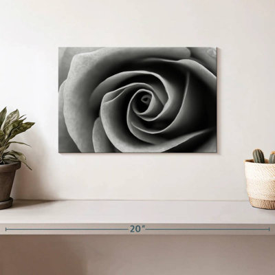 Harnek My Pretty Rose