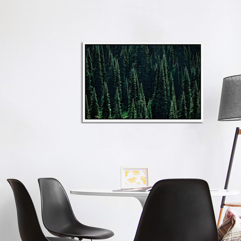 Fir Forest by Dennis Frates - Print on Canvas, White Framed, 66.04cm H x 101.6cm W x 3.81cm D