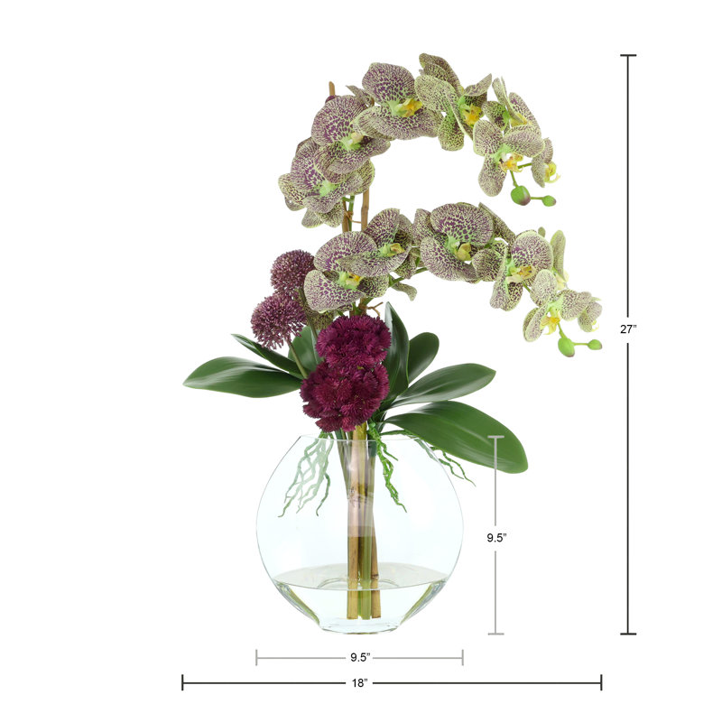 Orchid And Sedum Arrangement In Glass Vase