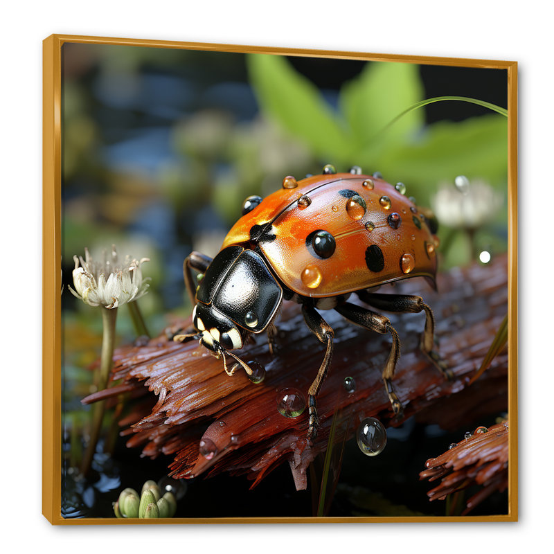 Coccinelle aventureuse III - coccinelle, art mural, Cadre flottant doré, H 30 po x l 30 po x P 1,5 po