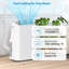 Gaomon 15000 BTU Wi-Fi Connected Portable Air Conditioner