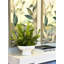 Mountain Fern and Moss Arrangement