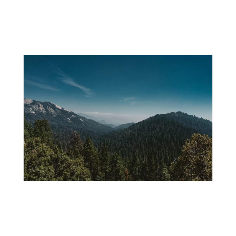 Sequoia National Park 1 Piece Wall Art on Canvas, 66.04cm H x 101.6cm W x 1.91cm D, Wrapped Canvas