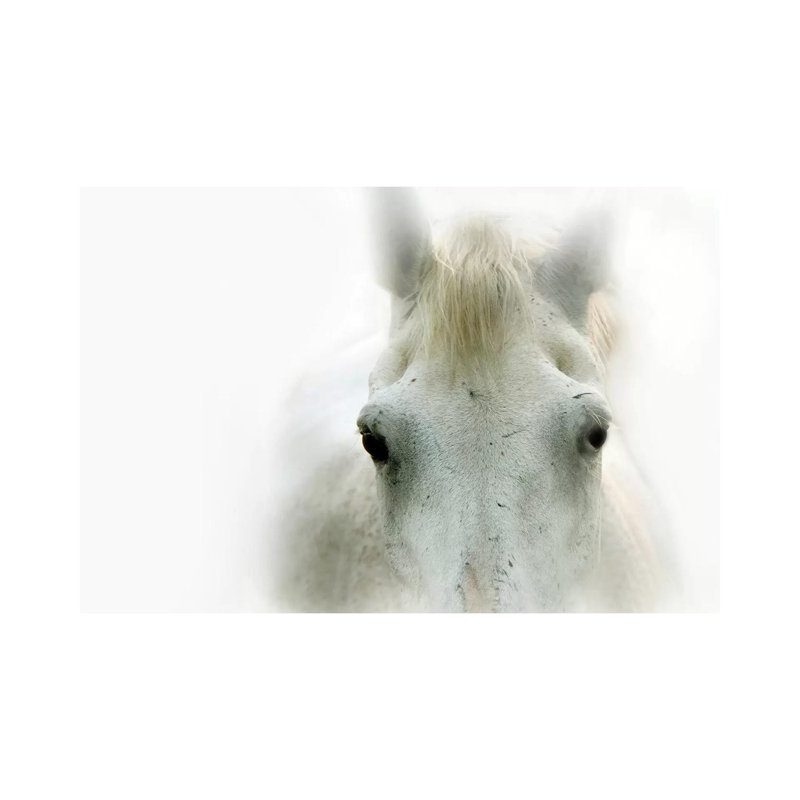 Blanco by Lu Anne Tyrrell - Wrapped Canvas Print, 20.32 cm H x 30.48 cm W