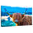 Brampt Shaggy Cow-107860848