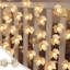 Fall Decorations-202861848