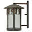 1 - Light Outdoor Wall Lantern-58998945