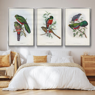 Antique sépia botanicals VI, ensemble de 3 toiles encadrées sur toile
