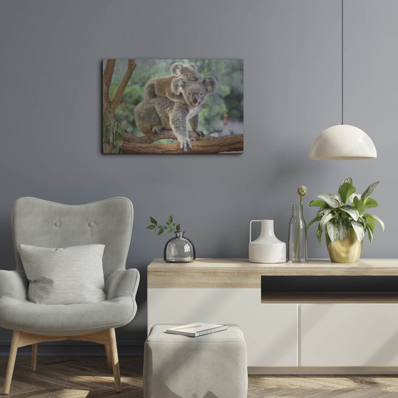 "Koala" par Luxe, H 16 po x l 24 po